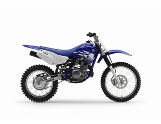 Pieces détachées pour TTR 125 LW <br>(TT-R125LW) 2005  DEEP PURPLISH BLUE SOLID E