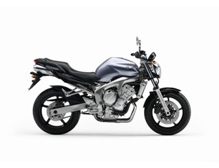 Pieces détachées pour FZ6 NAKED (FZ6-N) 2005  BLUISH SILVER 4