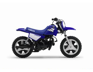 Pieces détachées pour PW 50 <br>(PW50) 2005  DEEP PURPLISH BLUE SOLID E