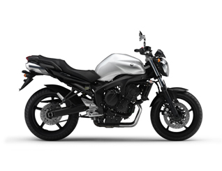 Pieces détachées pour FZ6 NAKED ABS HG <br>(FZ6-NAHG) 2008  SILVER METALLIC 1