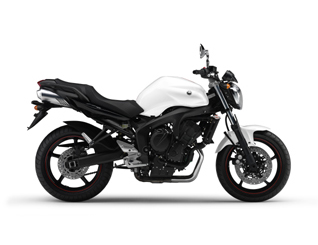 Pieces détachées pour FZ6 NAKED HG (FZ6-NHG) 2008  BLUISH WHITE COCKTAIL 1