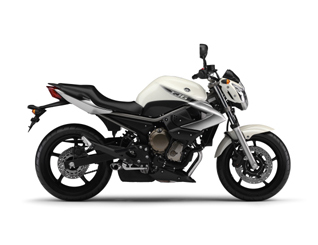 Pieces détachées pour XJ6 (XJ6N) 2009  NEW PEARL WHITE