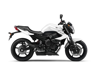 Pieces détachées pour XJ6 ABS <br>(XJ6NA) 2011  BLUISH WHITE COCKTAIL 1