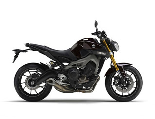 Pieces détachées pour MT-09 <br>(MT09) 2014  VERY DARK VIOLET METALLIC 1