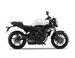 Pieces détachées pour XJ6 <br>(XJ6N) 2014  BLUISH WHITE COCKTAIL 1