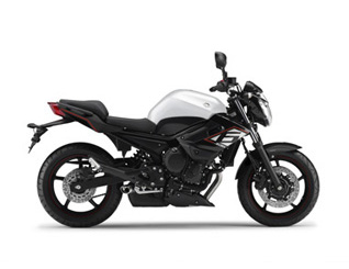 Pieces détachées pour XJ6 ABS <br>(XJ6NA) 2014  BLUISH WHITE COCKTAIL 1