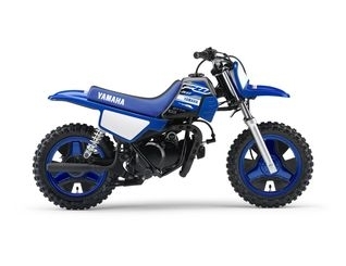 Pieces détachées pour PW 50 <br>(PW50) 2019  DEEP PURPLISH BLUE SOLID E